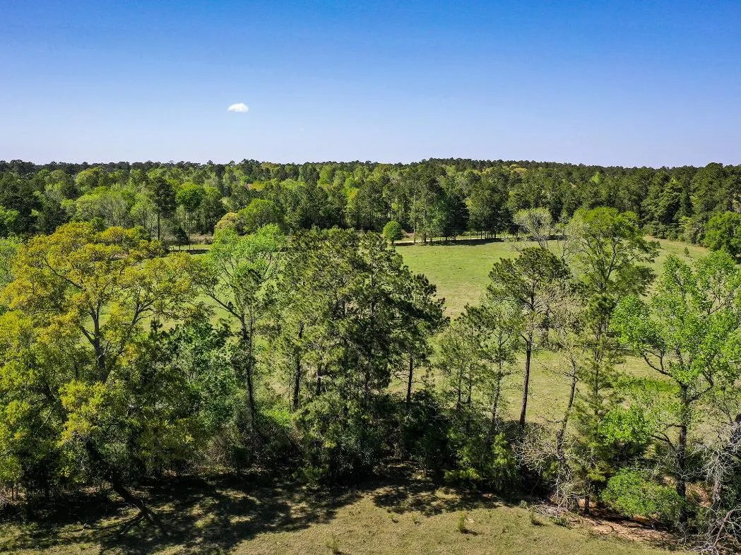 Walker County, TX Land for Sale 215 Listings Land And Farm