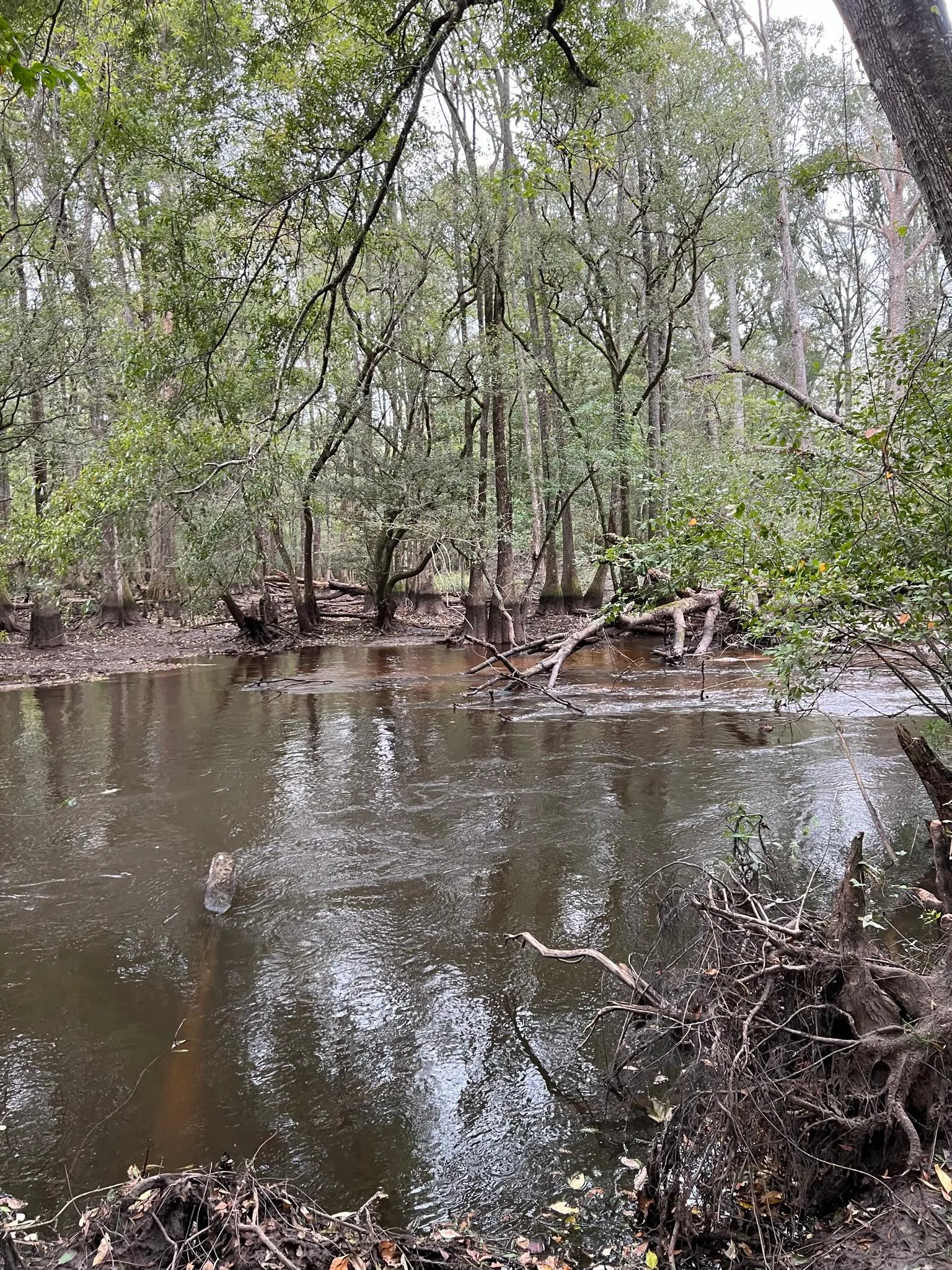 South Carolina Waterfront for Sale 1,104 Listings Land And Farm