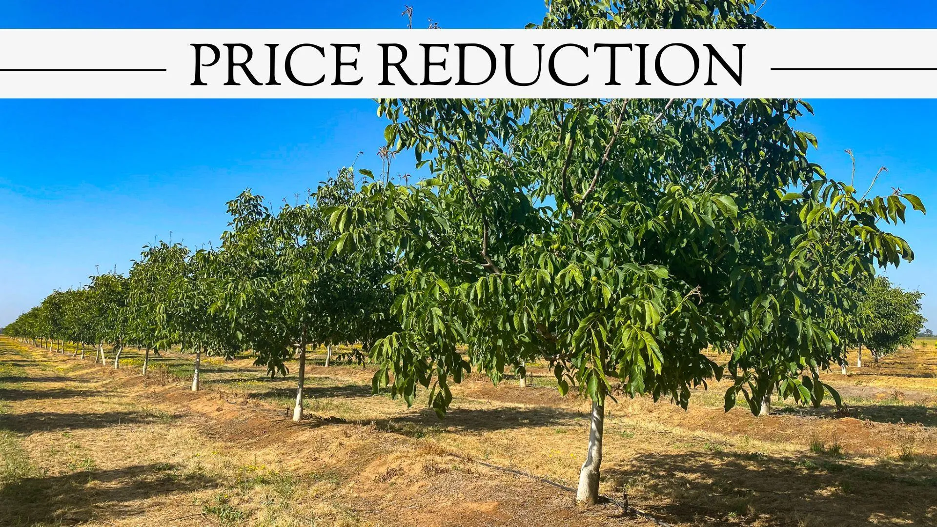 Placer County, CA Land for Sale 153 Listings Land And Farm