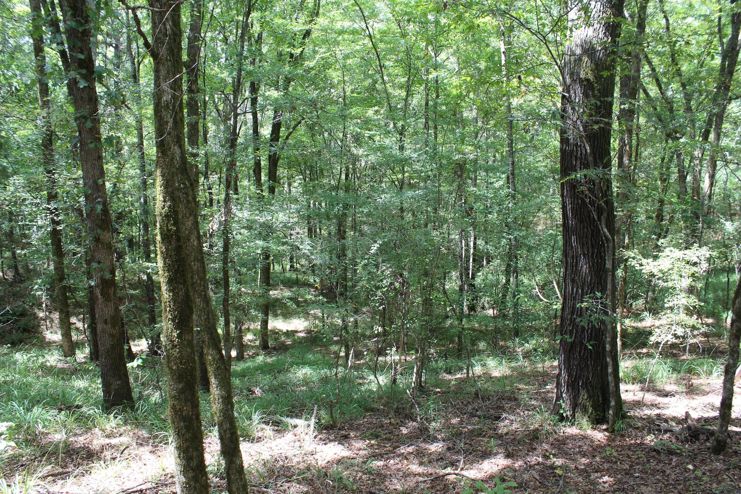 Copiah County, MS Land for Sale 74 Listings Land And Farm