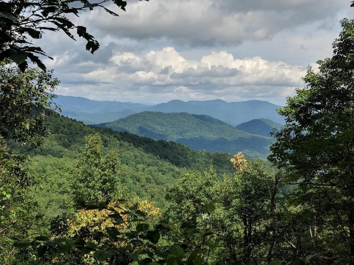 North Carolina Ranches for Sale 27 Listings Land And Farm