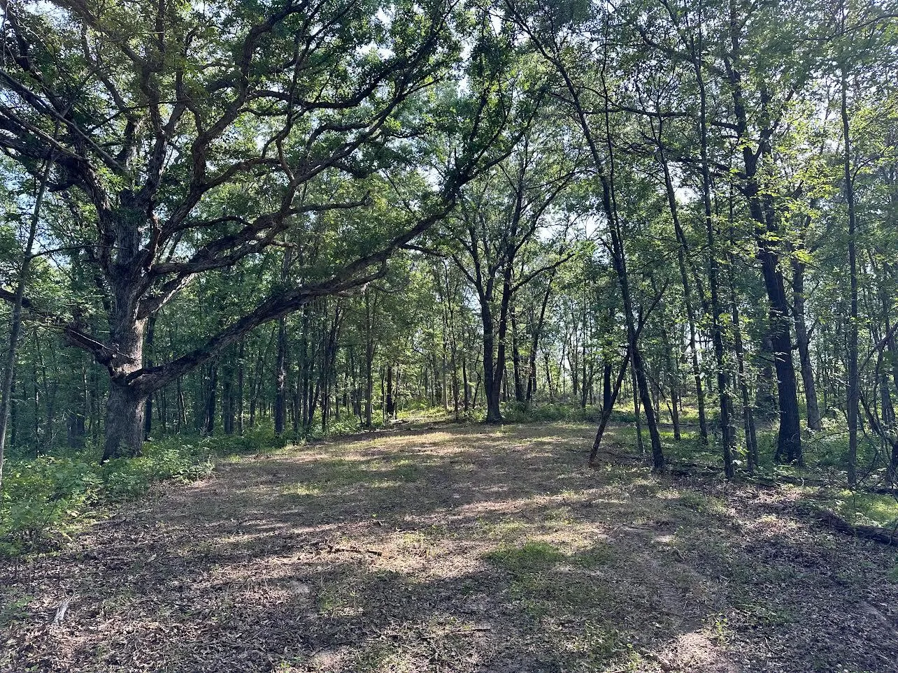 Putnam County, MO Land for Sale 47 Listings Land And Farm