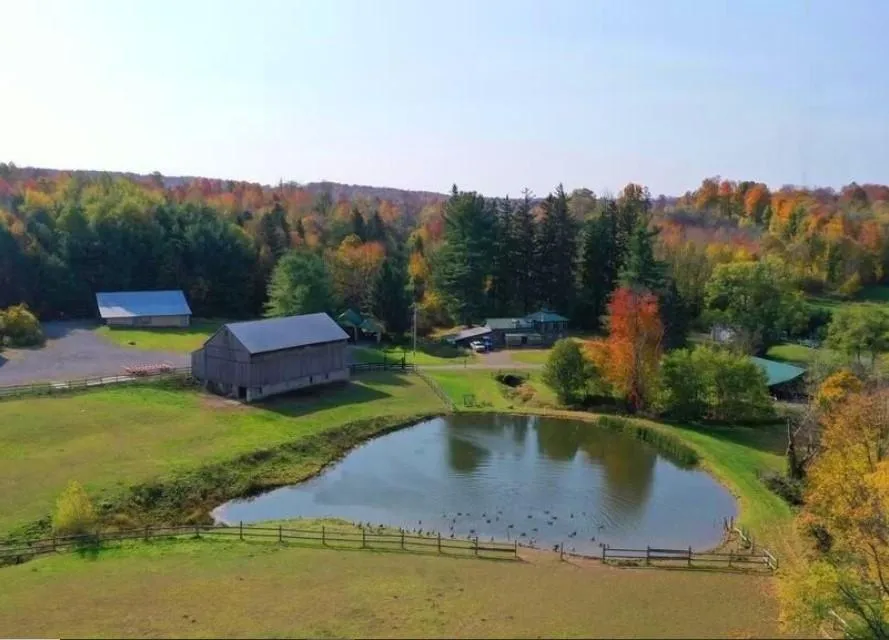 New York Farm Land for Sale 313 Listings Land And Farm