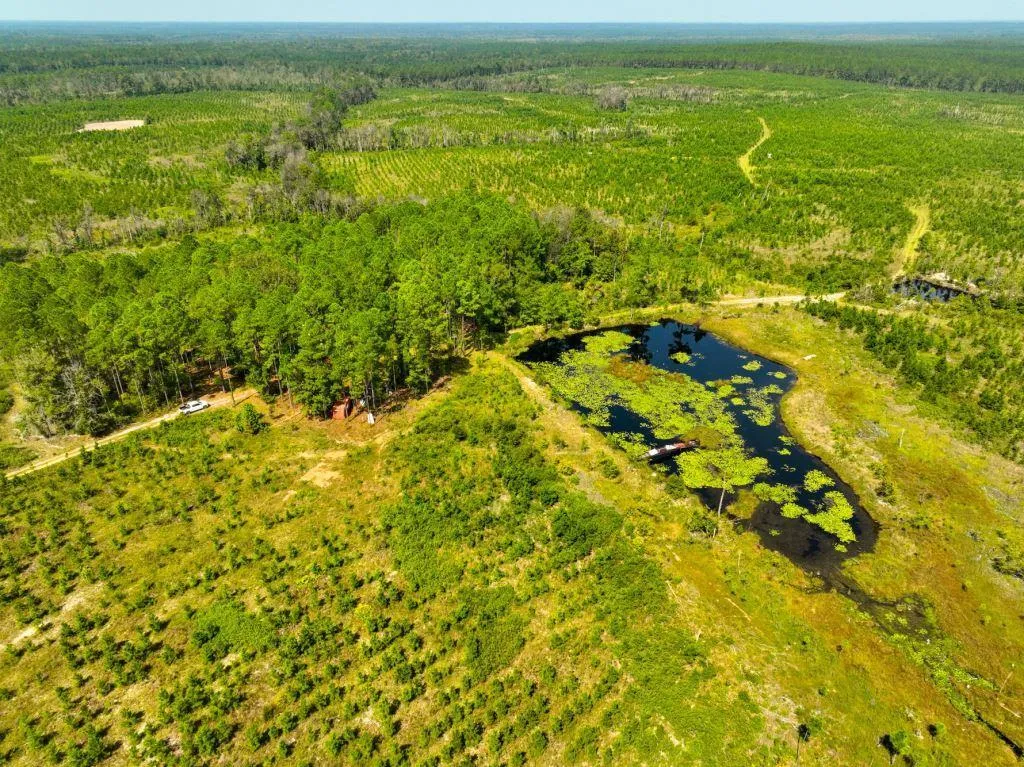 Jeff Davis County, GA Land for Sale 26 Listings Land And Farm