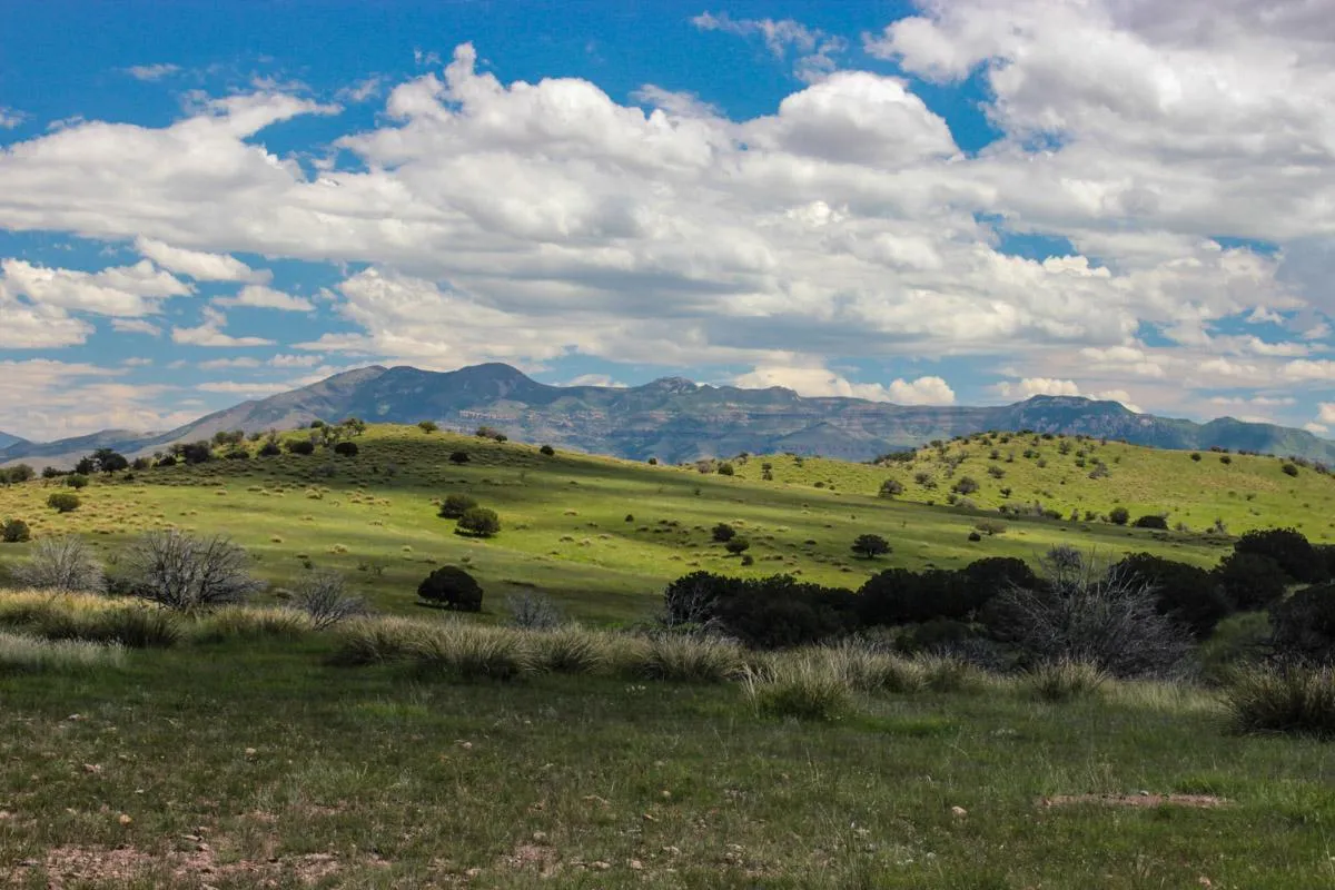 New Mexico Land for Sale Farms, Ranches, Hunting Property in New