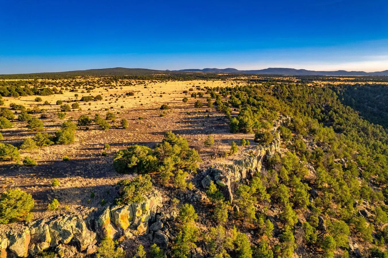 New Mexico Land for Sale Farms, Ranches, Hunting Property in New