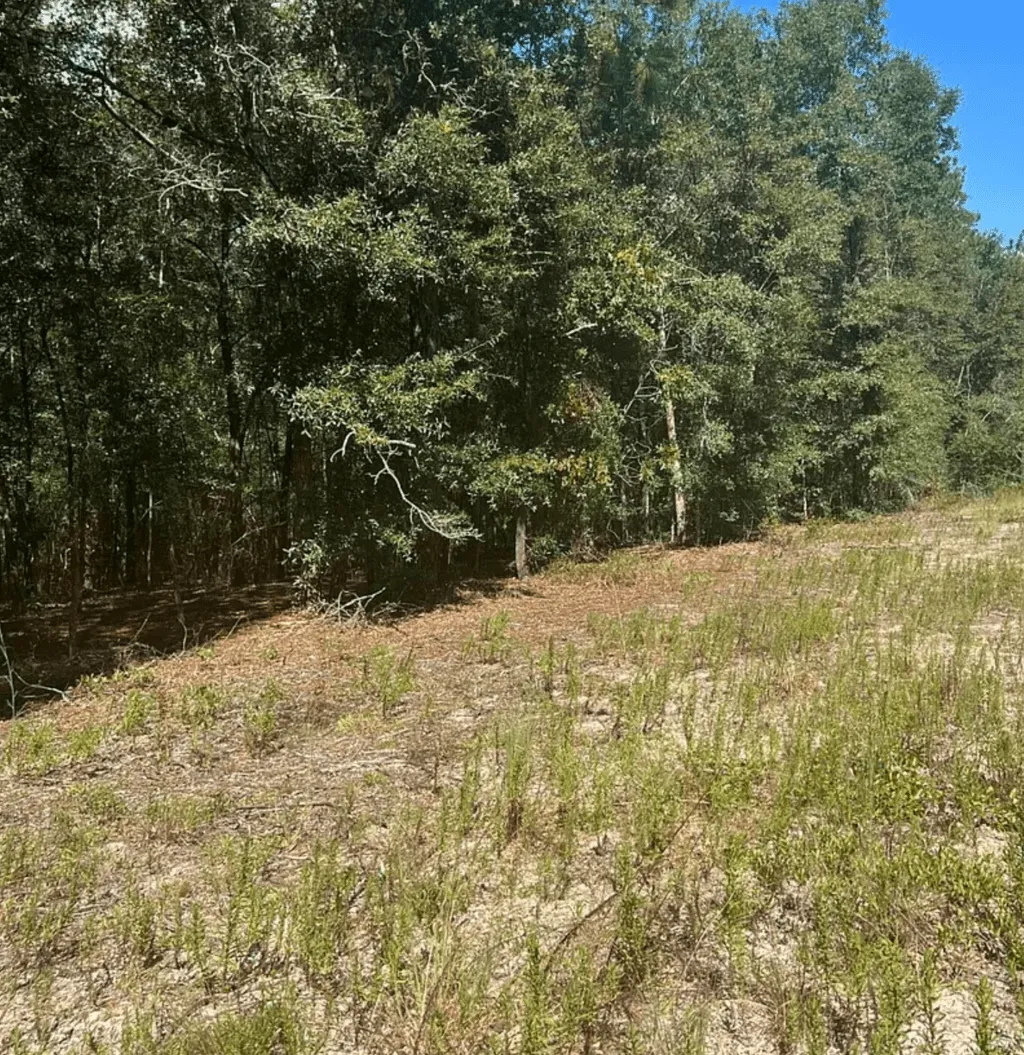 Walton County, FL Land for Sale 758 Listings Land And Farm