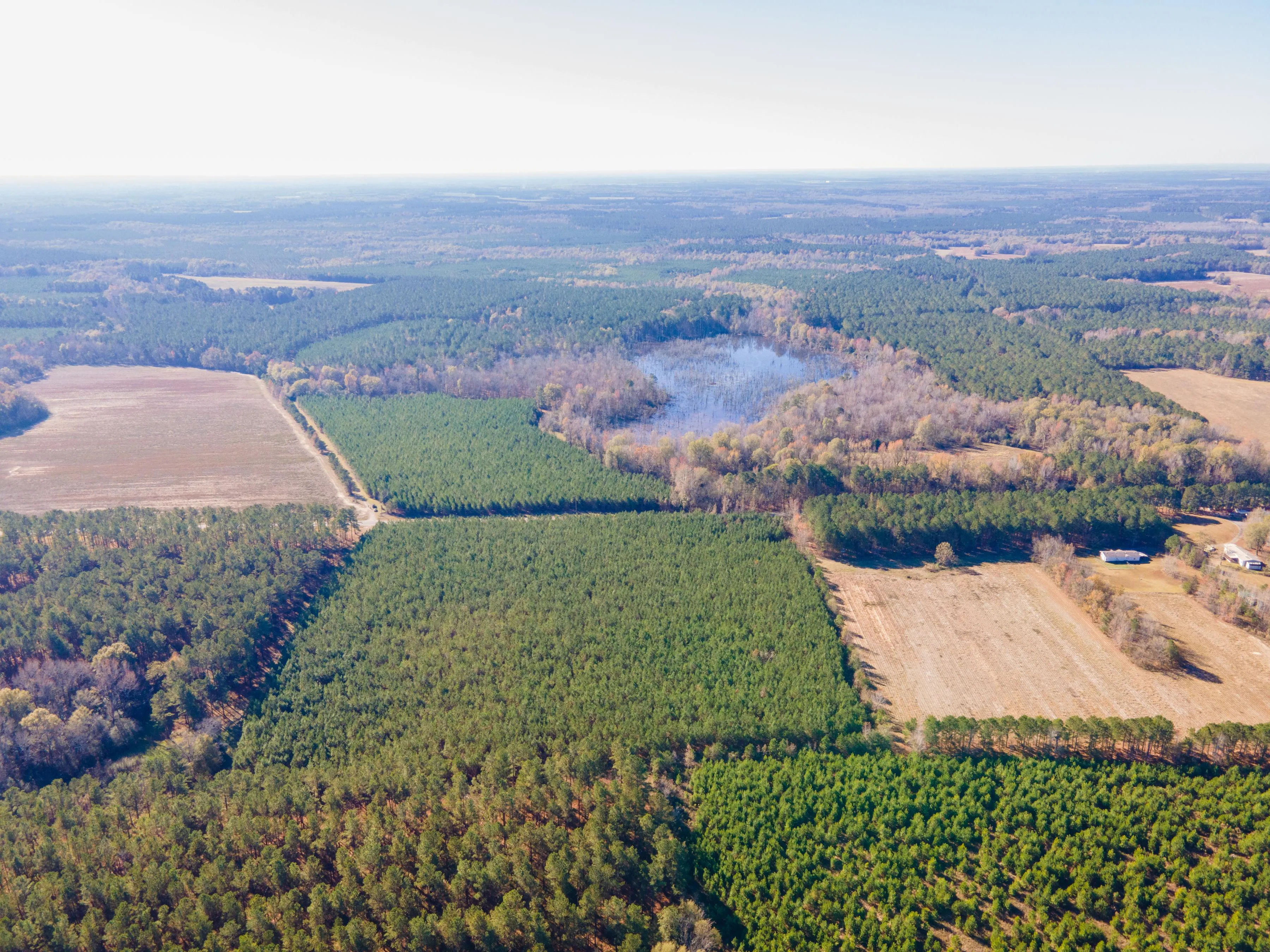 Burke County, GA Land for Sale 120 Listings Land And Farm