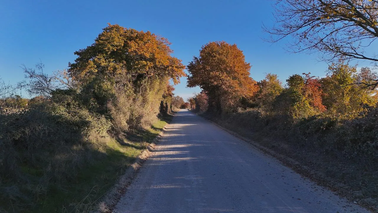 Montague County, TX Land for Sale 364 Listings Land And Farm