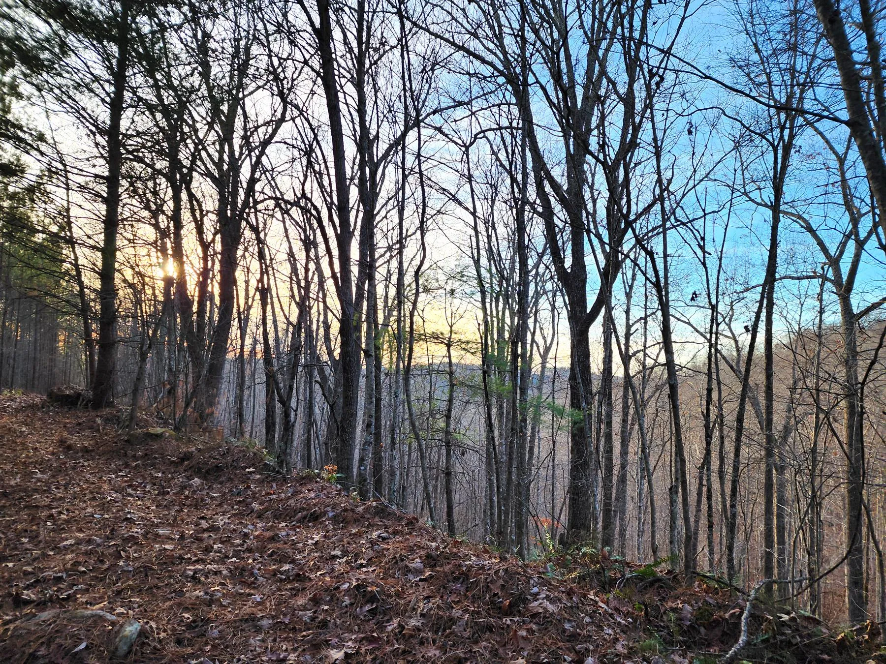 Scott County, TN Land for Sale 111 Listings Land And Farm