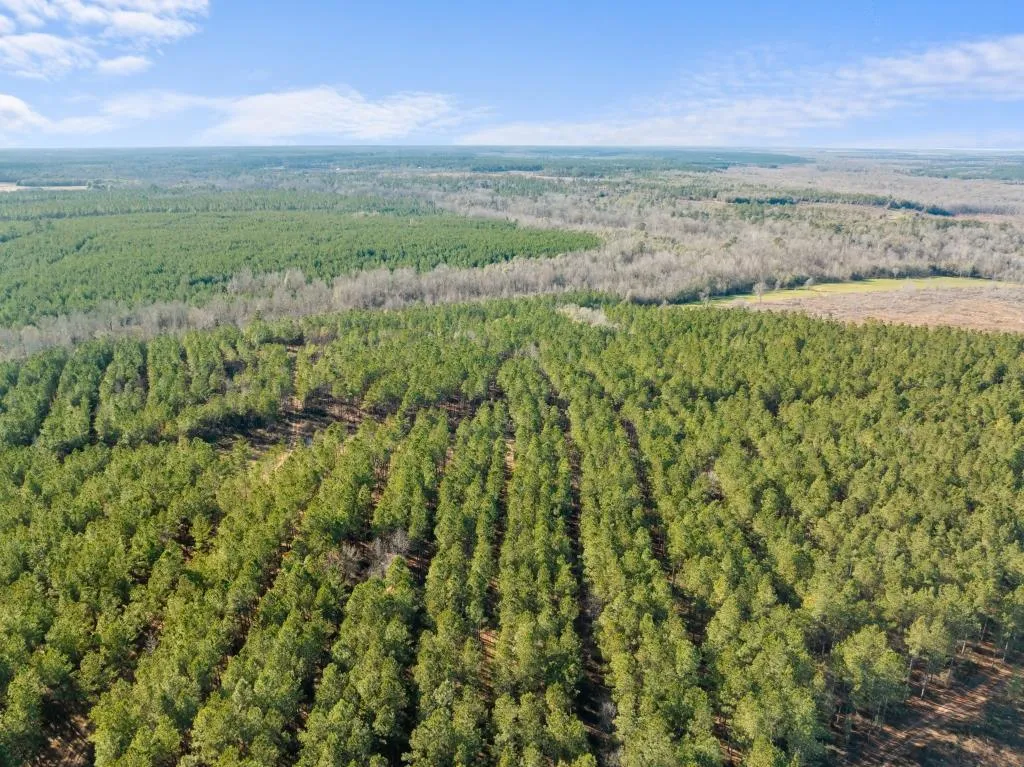 Burke County, GA Land for Sale 117 Listings Land And Farm