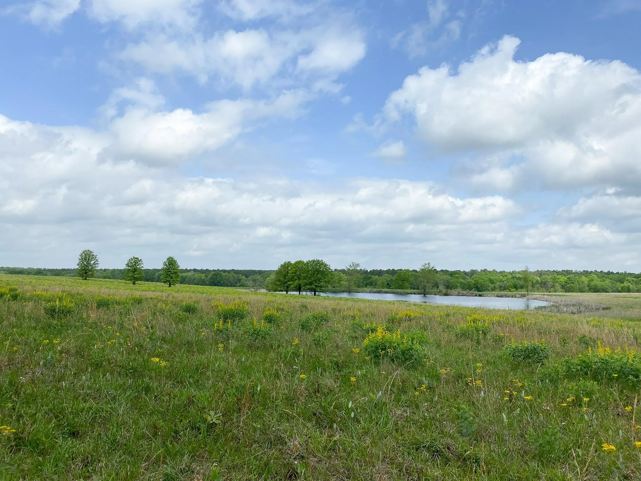 Red River County, TX Land for Sale 153 Listings Land And Farm