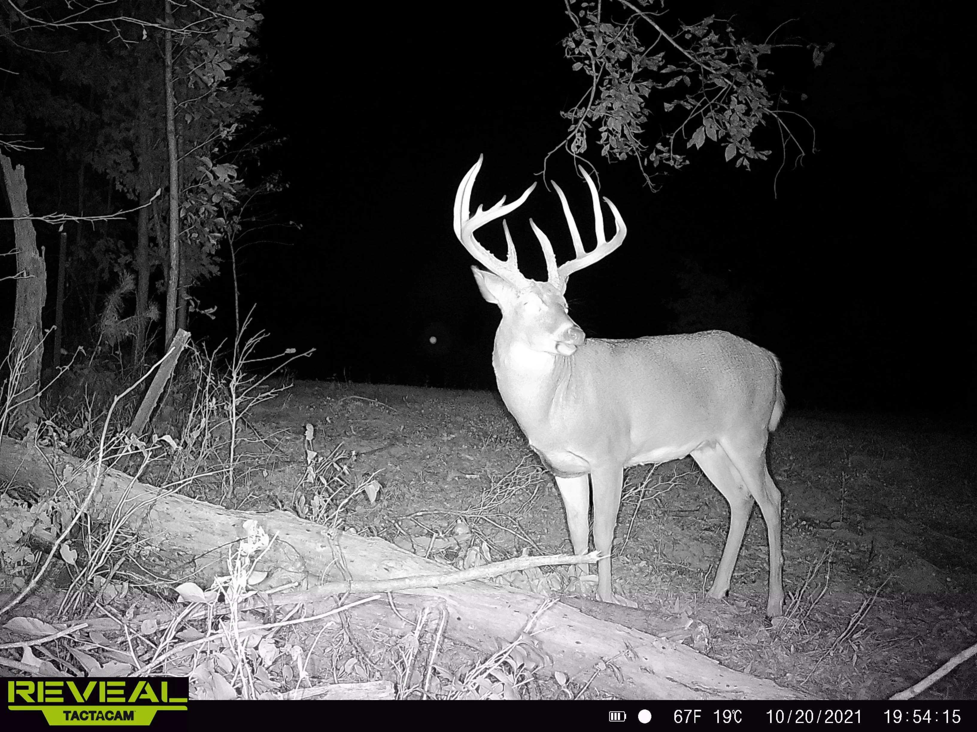 Ohio Land for Sale between 201 and 500 Acres 19 Listings Land And Farm