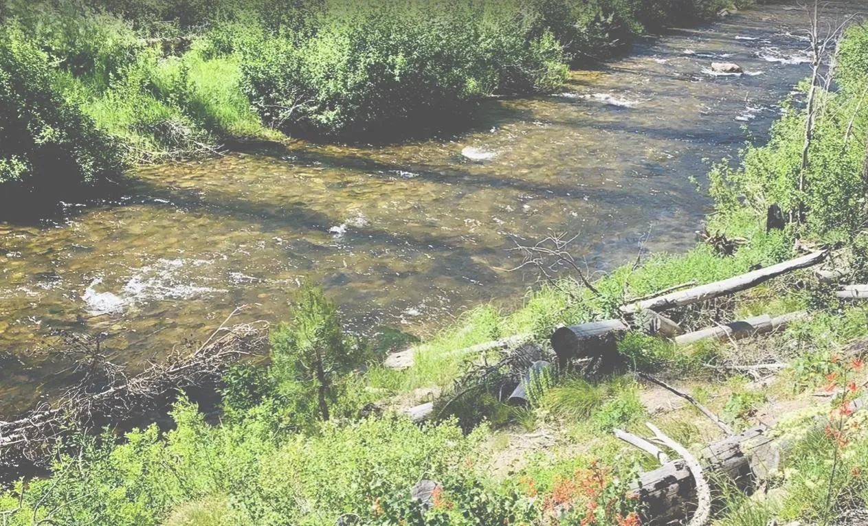 Idaho Land for Sale between 11 and 50 Acres 687 Listings Land And Farm