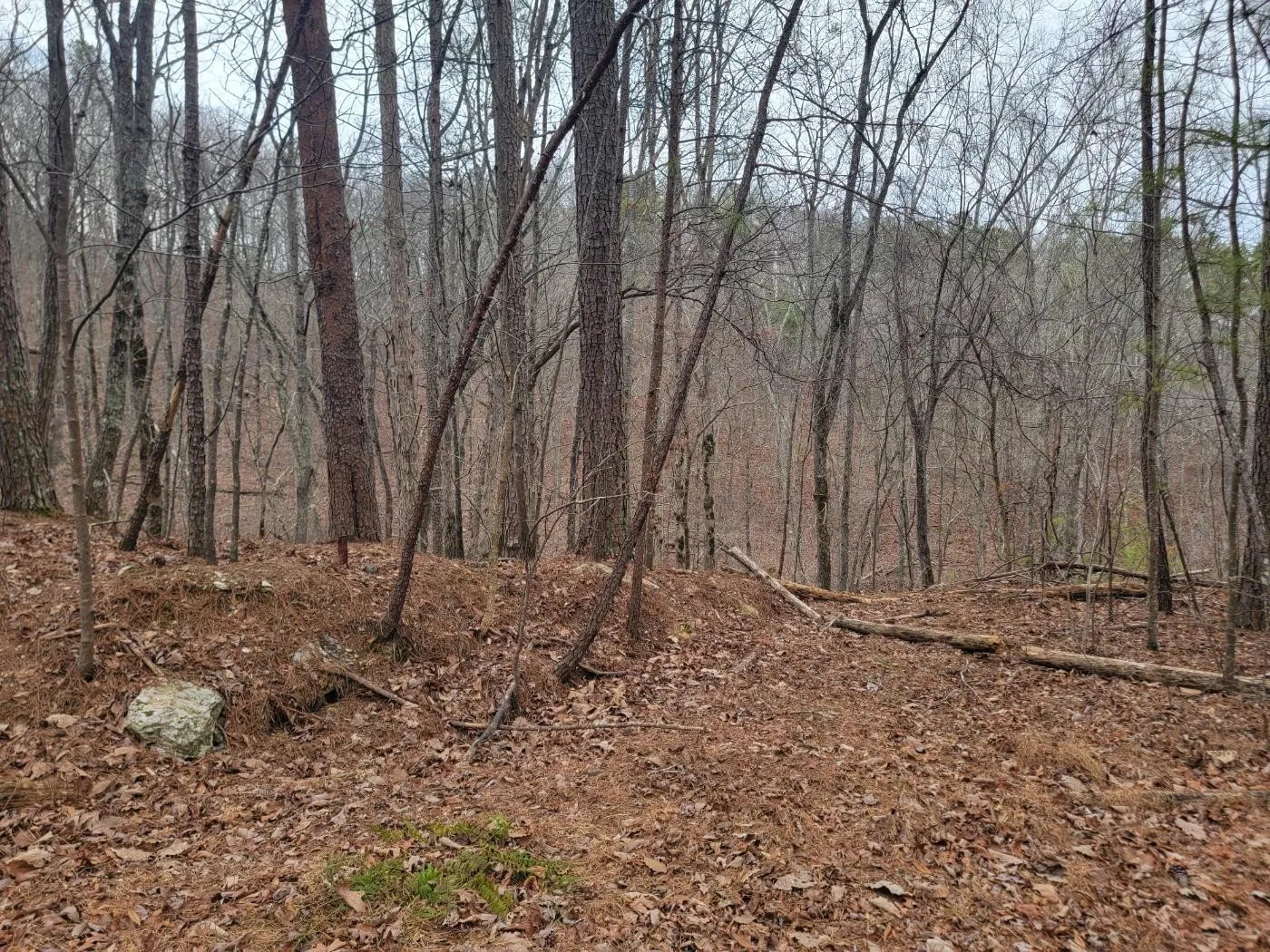 Land for Sale up to 50K 2,865 Listings Land And Farm