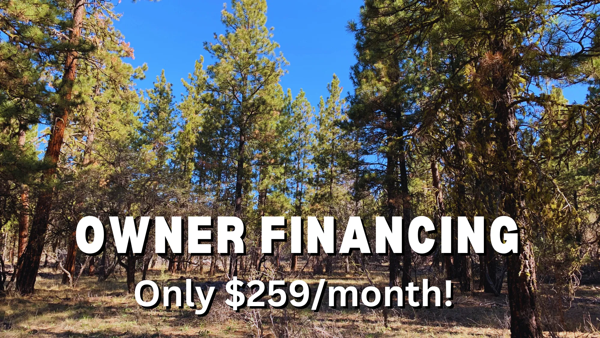 Oregon Land for Sale Farms, Ranches, Hunting Property in Oregon Land And Farm