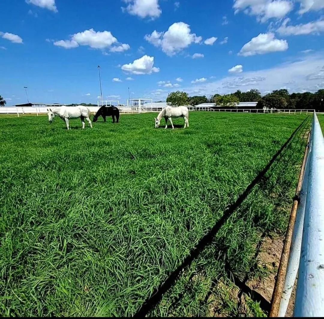 Elgin, TX Land for Sale 38 Listings Land And Farm