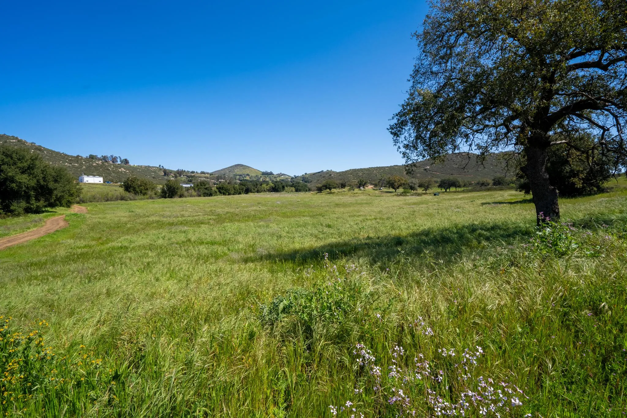 Ramona, CA Land for Sale 47 Listings Land And Farm