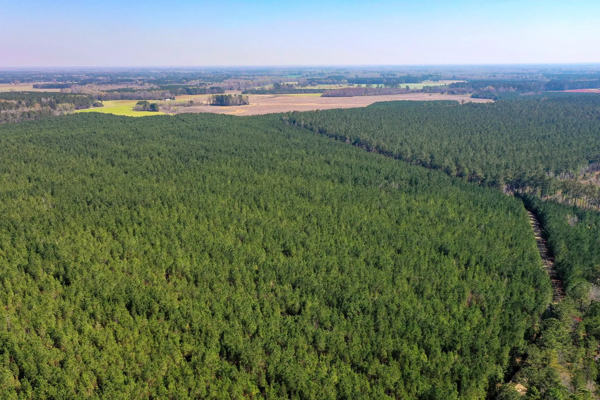 Pee Dee Region, SC Hunting Land for Sale 72 Listings Land And Farm