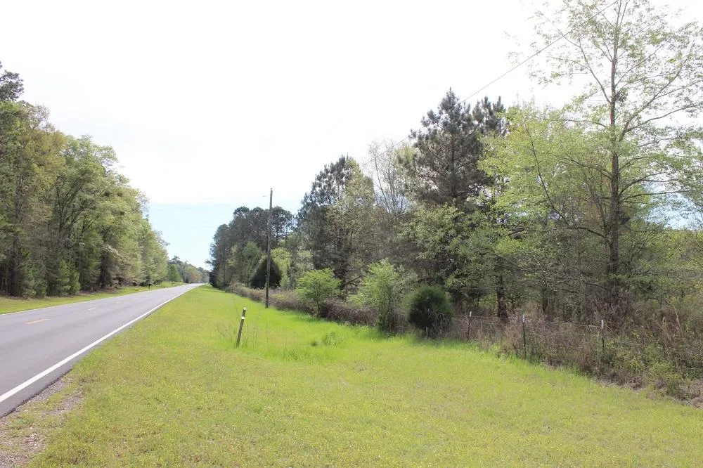 Historic South Region, GA Land for Sale between 11 and 50 Acres 647
