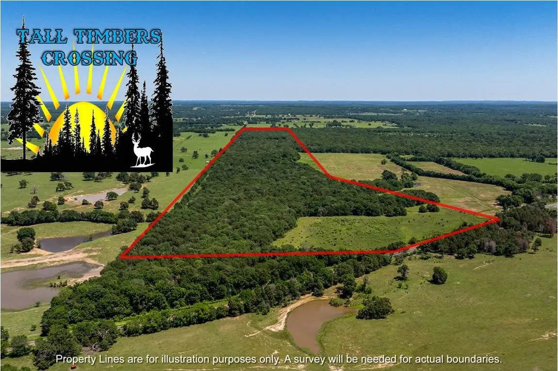 Henderson County, TX Land for Sale 1,249 Listings Land And Farm