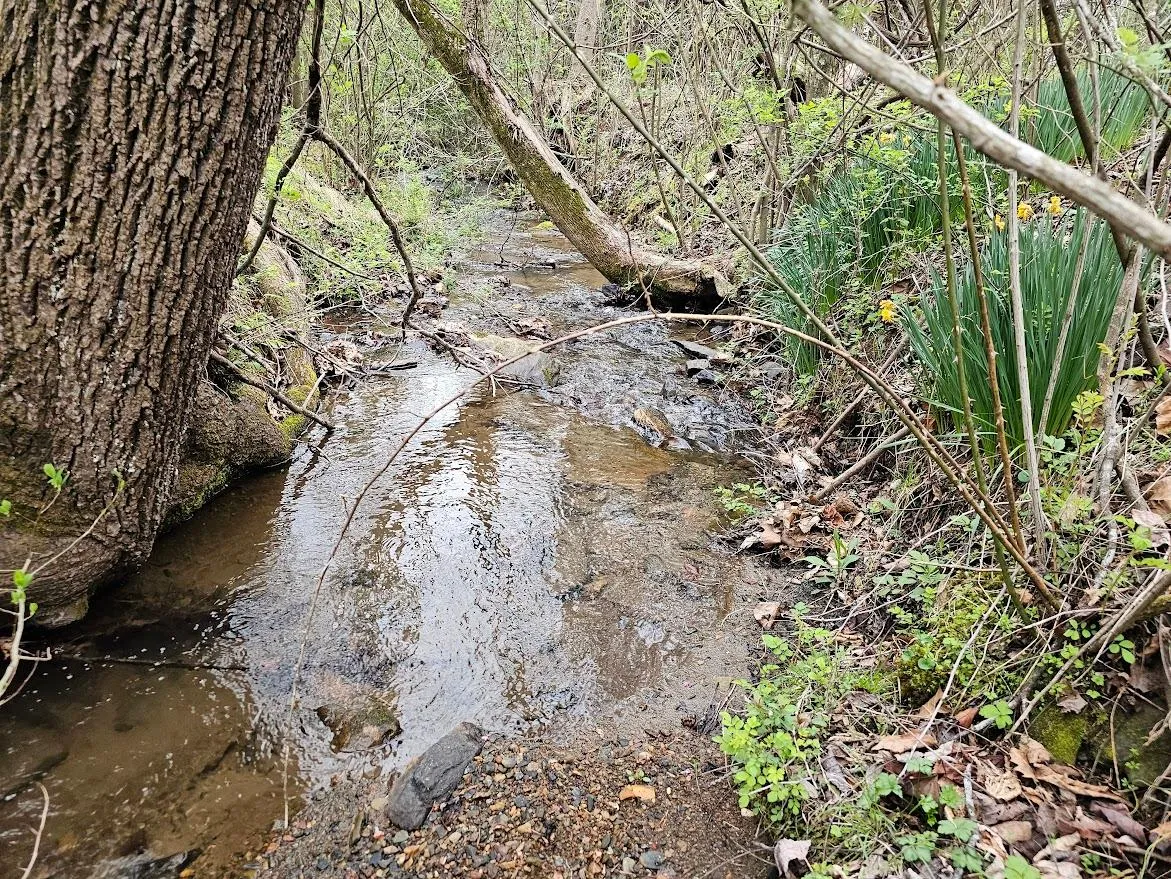 Patrick County, VA Land for Sale up to 50K 45 Listings Land And Farm