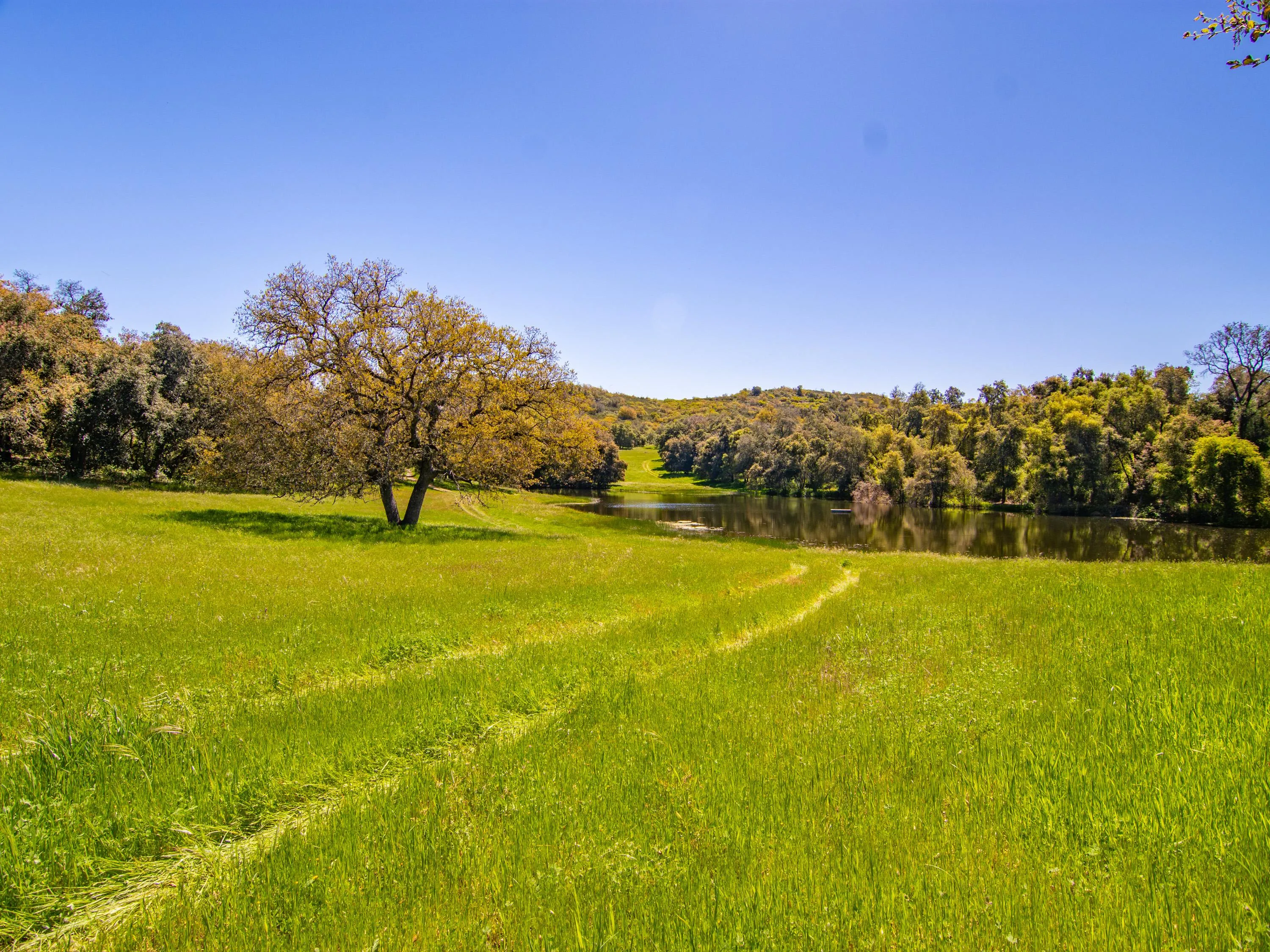 Santa Ysabel, CA Land for Sale 11 Listings Land And Farm