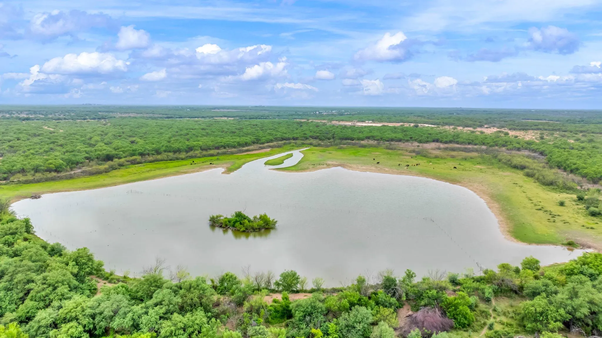 Dimmit County, TX Land for Sale 32 Listings Land And Farm