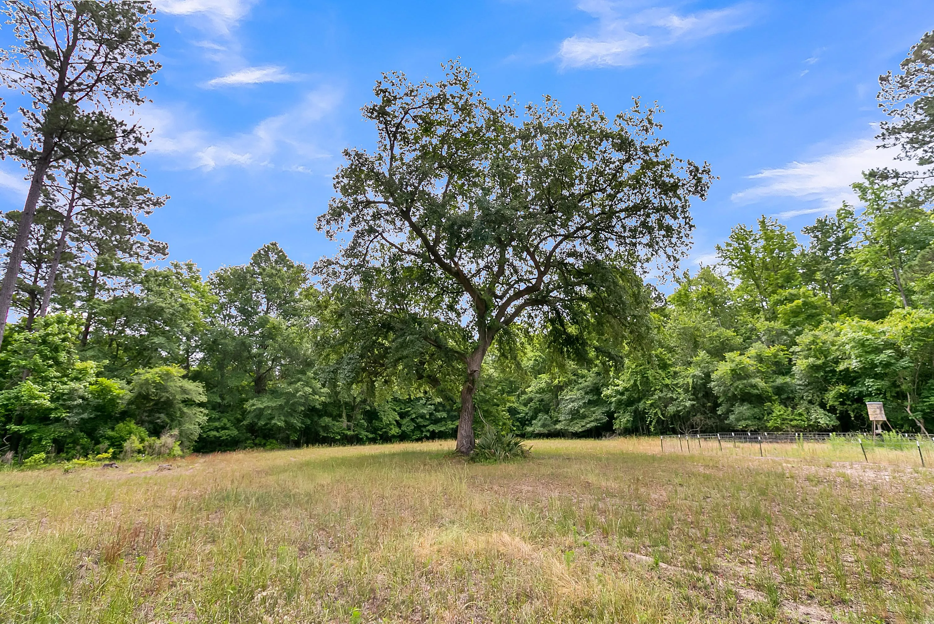 South Carolina Farm Land for Sale 289 Listings Land And Farm