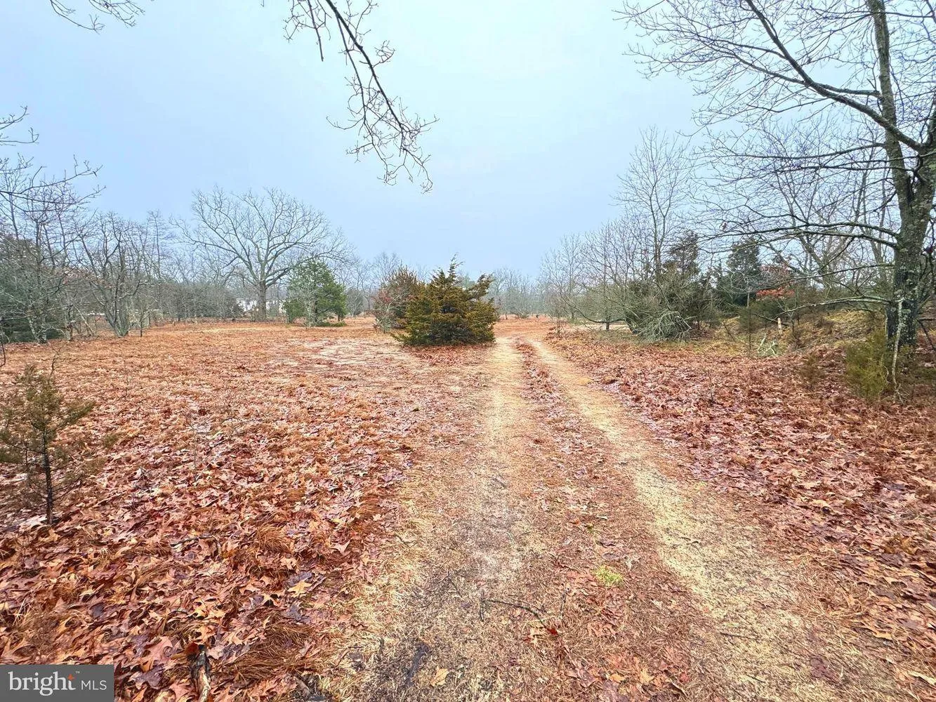 South Region, NJ Land for Sale between 11 and 50 Acres 59 Listings