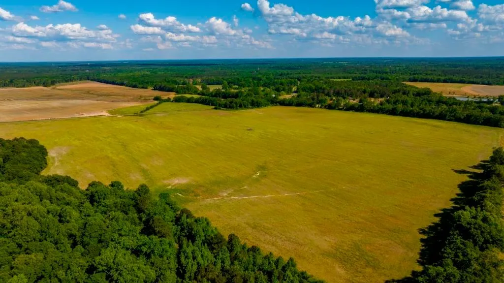 Historic South Region, GA Hunting Land for Sale 247 Listings Land