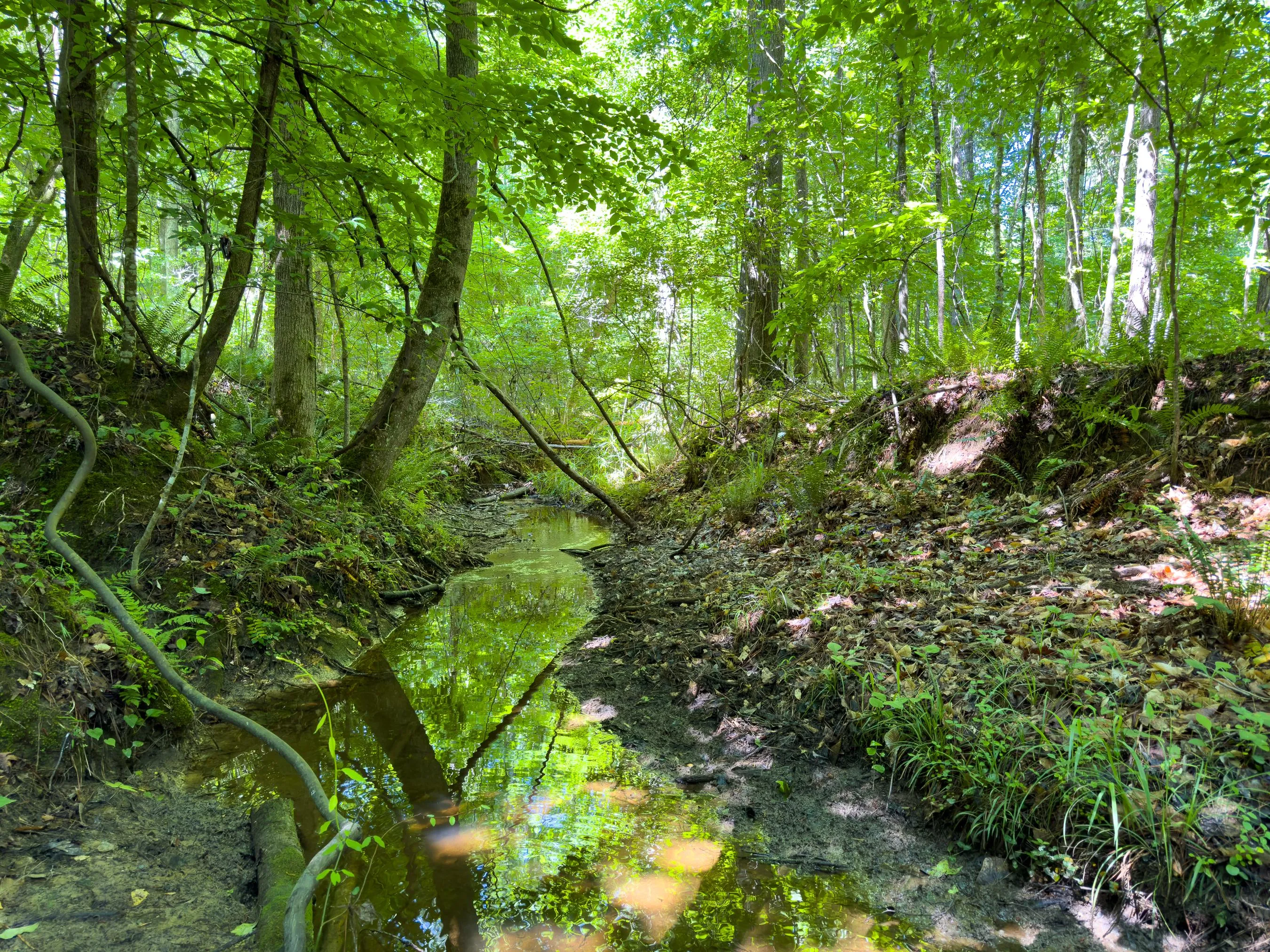 Hancock County, GA Land for Sale 96 Listings Land And Farm