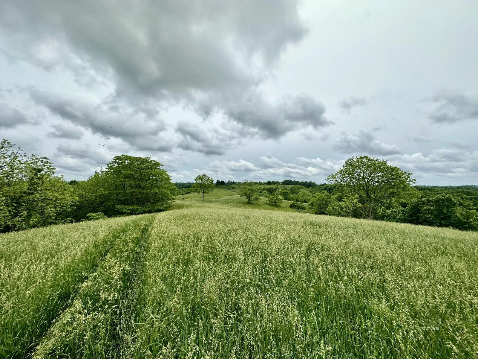 Ohio Hunting Land for Sale 177 Listings Land And Farm