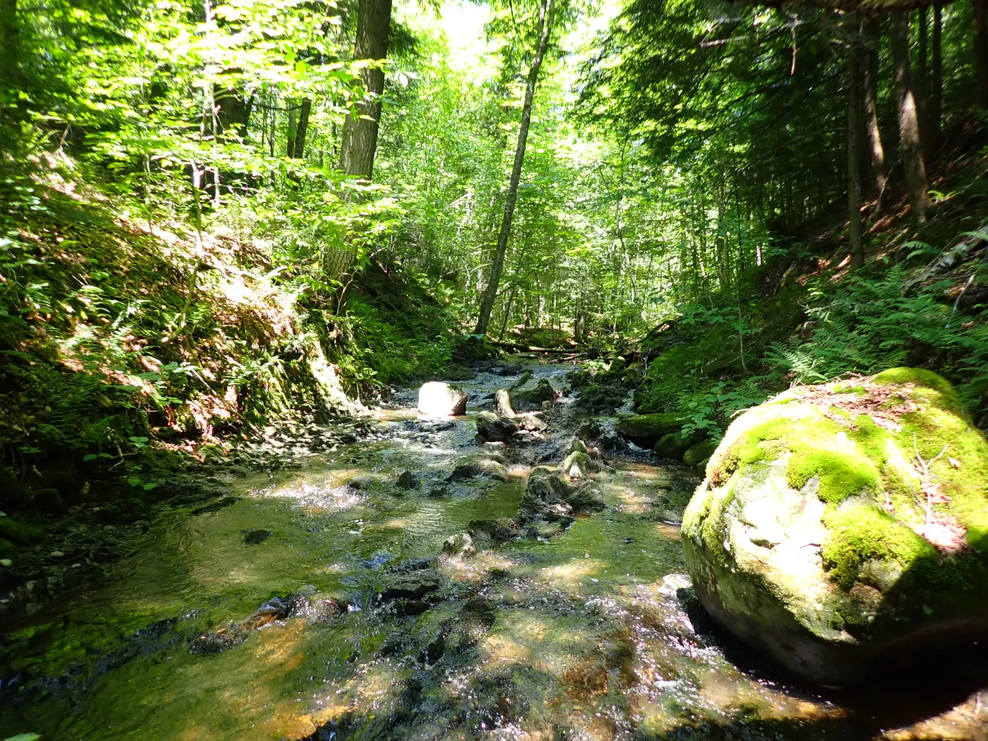 Vermont Land for Sale Farms, Ranches, Hunting Property in Vermont