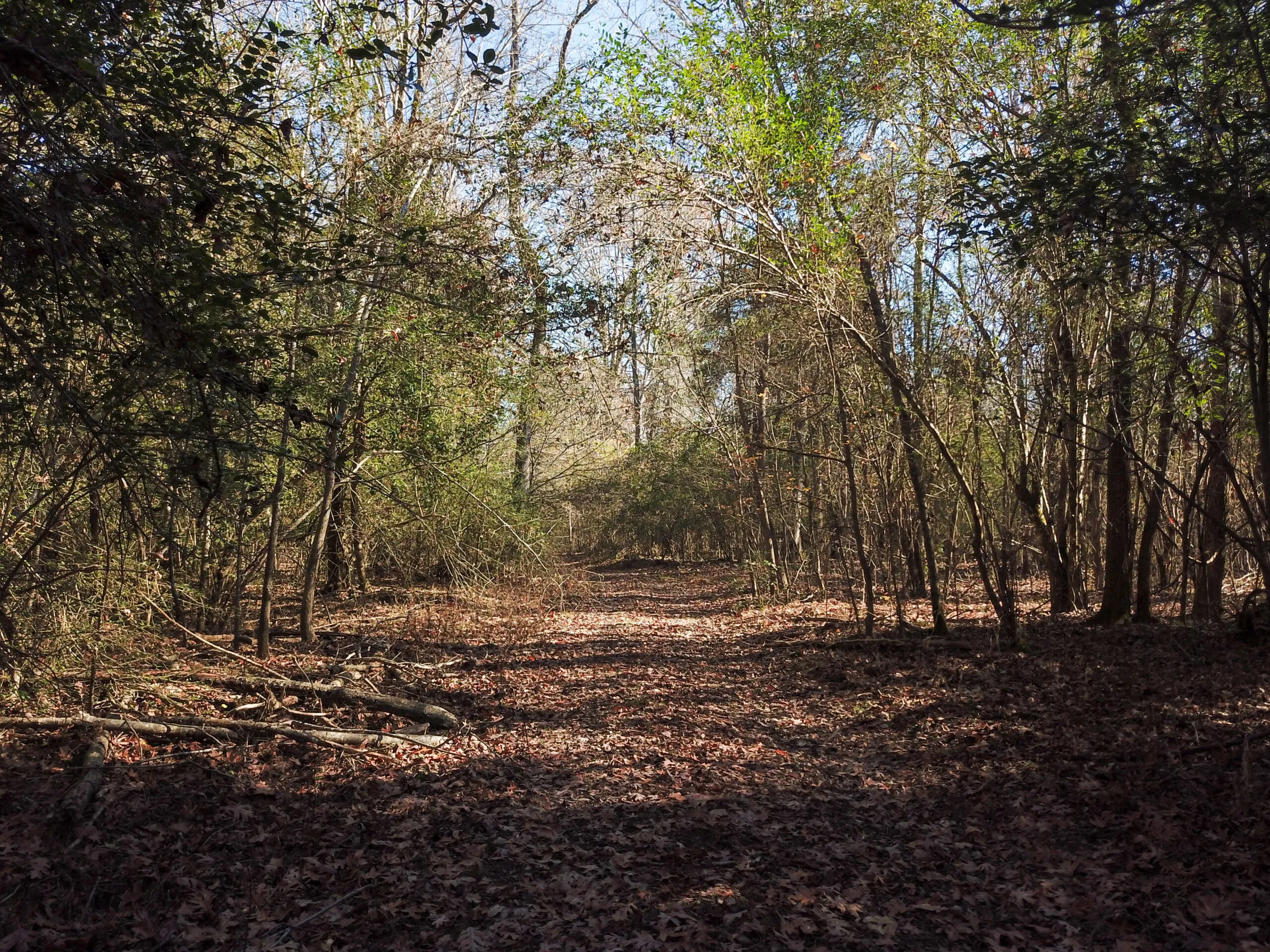 Clark County, AR Land for Sale 150 Listings Land And Farm