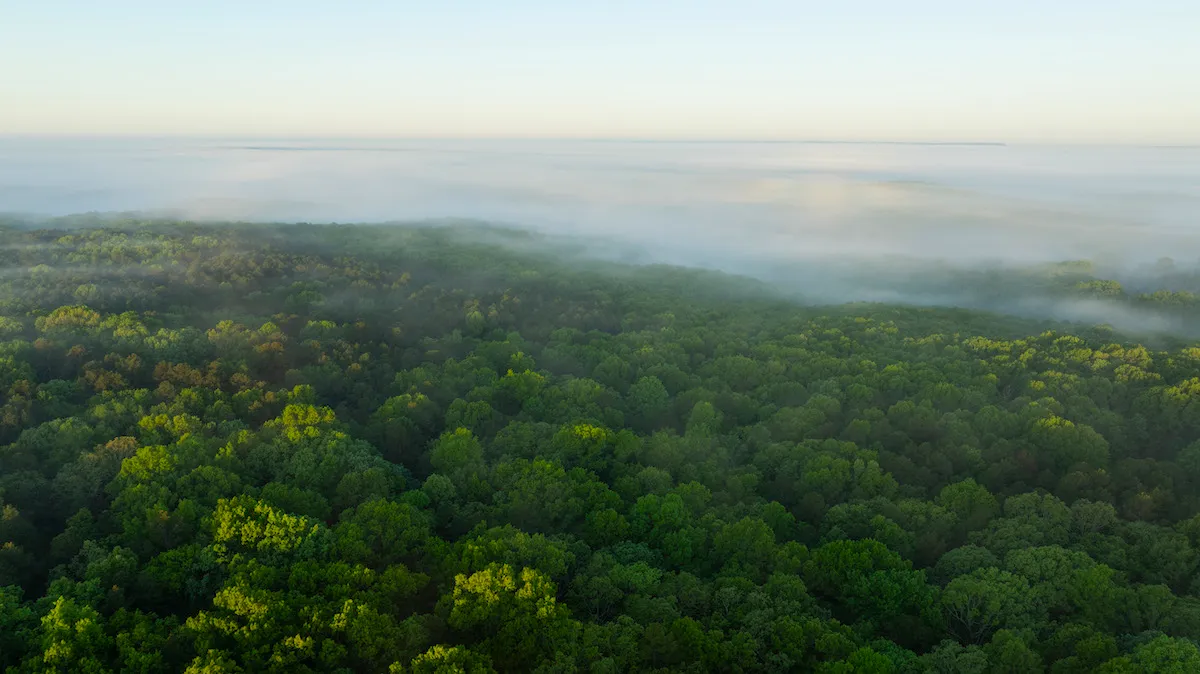 Douglas County, MO Land for Sale 105 Listings Land And Farm