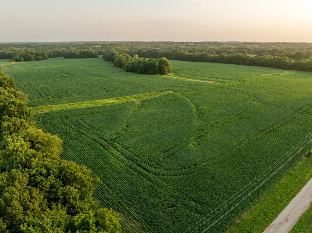 Henry County, MO Land for Sale 78 Listings Land And Farm