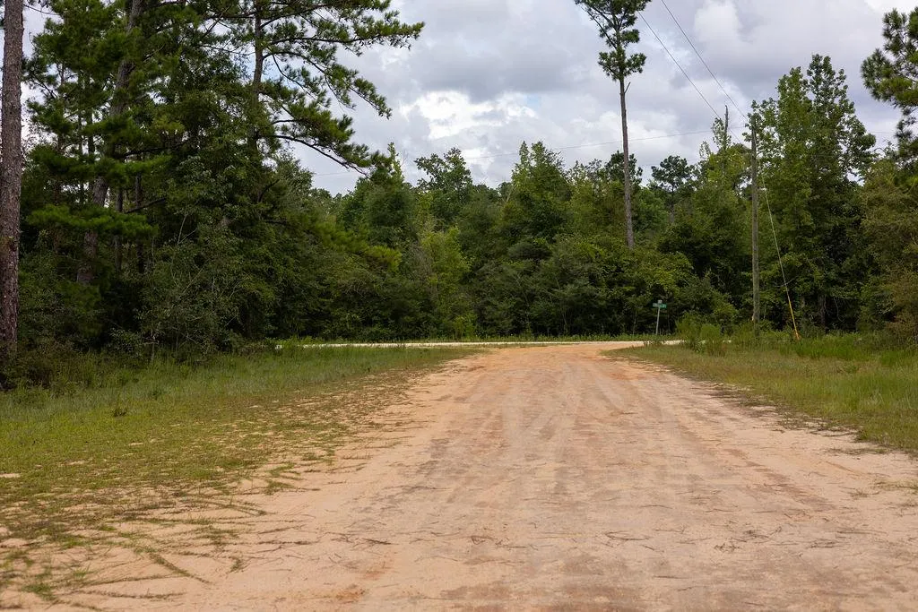 Land for Sale in Jackson County, FL, Jackson County, FL Land for