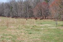 Recreational Property in Hall County, Georgia
