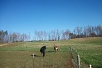 Farm Property in Patrick County, Virginia
