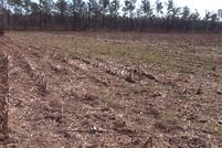 Property in Columbus County, North Carolina