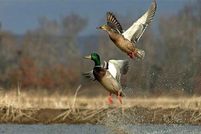 Property in Ottawa County, Oklahoma