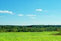 Farm Property in Amelia County, Virginia