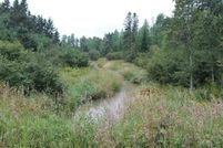 Farm Property in Chippewa County, Michigan