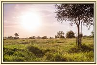 Property in Washington County, Texas