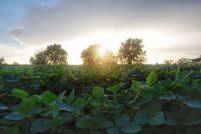 Property in Allen County, Kansas