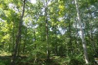 Hunting Land in Henry County, Tennessee