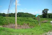 Hunting Land in Henry County, Tennessee