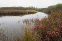 Property in Iron County, Michigan