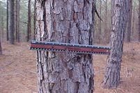 Farm Property in Lafayette County, Mississippi
